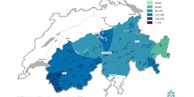 Peta - peta salji switzerland